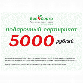 Подарочный сертификат на 5000 рублей