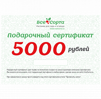 Подарочный сертификат на 5000 рублей