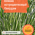 Вейник остроцветковый Овердам