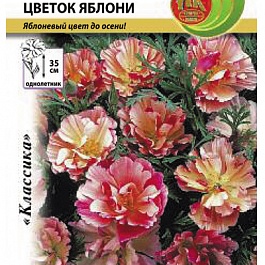 Эшшольция (калифорнийский мак) Цветок Яблони