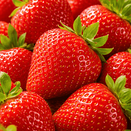 Земляника садовая Шарлотта