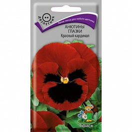 Анютины глазки Красный кардинал