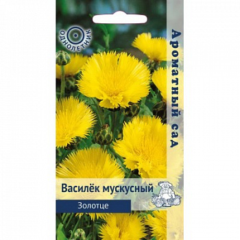 Василёк мускусный Золотце