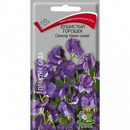 Душистый горошек Спенсер темно-синий