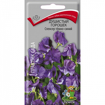 Душистый горошек Спенсер темно-синий