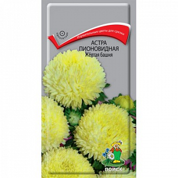Астра пионовидная Желтая башня