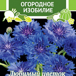 Василёк Капитан