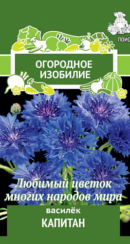 Василёк Капитан