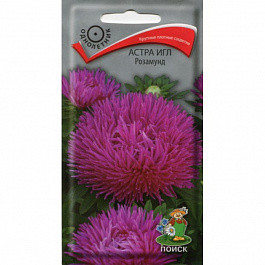 Астра игл Розамунд