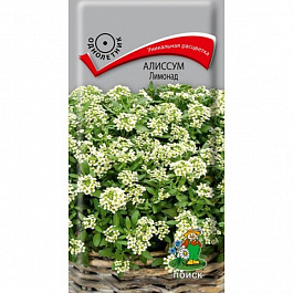 Алиссум Лимонад