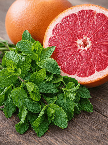 Мята Grapefruit Mint
