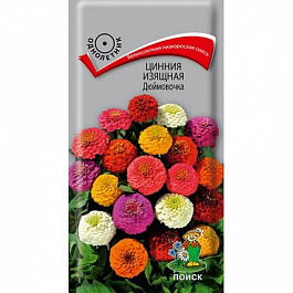 Цинния изящная Дюймовочка