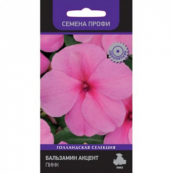 Бальзамин Акцент Пинк