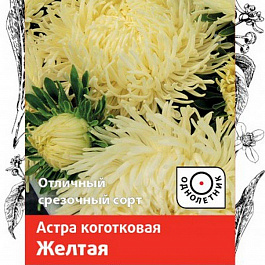 Астра коготковая Желтая