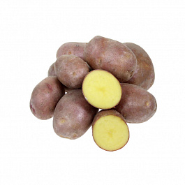 Картофель семенной Ред Скарлет