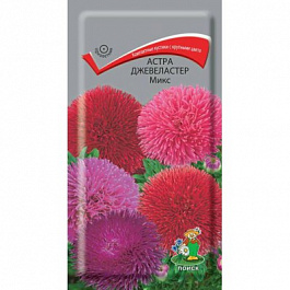 Астра Джевеластер Микс