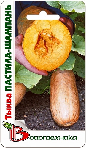 Тыква  Пастила Шампань