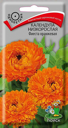 Календула низкорослая Фиеста оранжевая