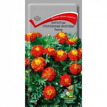 Бархатцы отклоненные махровые Пантер Бархатцы отклоненные махровые Пантер