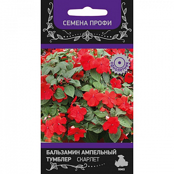 Бальзамин ампельный Тумблер Скарлет