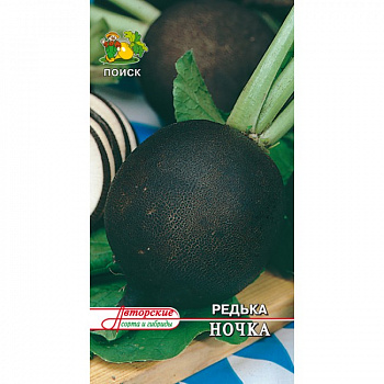 Редька Ночка