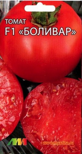 Томат (Помидор) обыкновенный Боливар