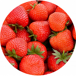 Земляника садовая Элеганс Земляника садовая Элеганс