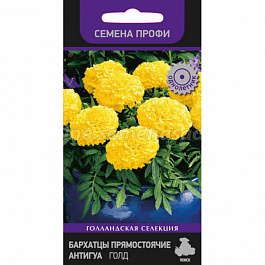 Бархатцы прямостоячие Антигуа Голд