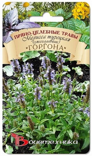 Мелисса (Лимонная мята) турецкая Горгона