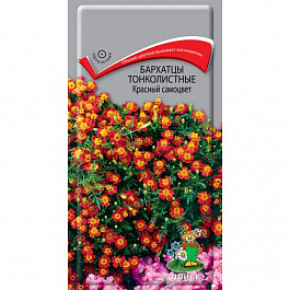 Бархатцы тонколистные Красный самоцвет