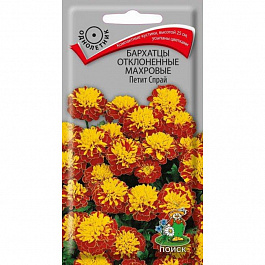 Бархатцы отклоненные махровые Петит Спрай