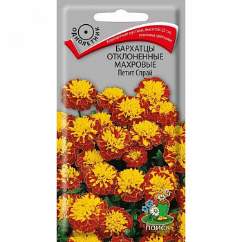 Бархатцы отклоненные махровые Петит Спрай