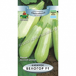 Кабачок Белогор F1