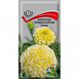 Бархатцы прямостоячие Аляска