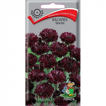 Василёк Блэк бол