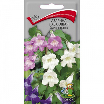 Азарина лазающая Смесь окрасок