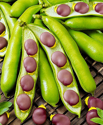 Бобы овощные Русские черные