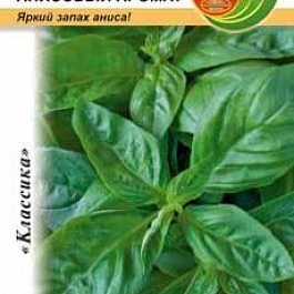 Базилик  Анисовый аромат