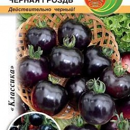 Томат (Помидор) обыкновенный Черная гроздь F1