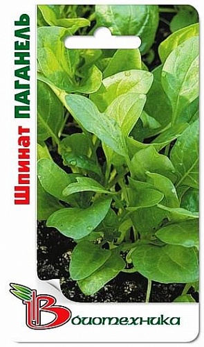 Шпинат  Паганель