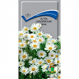 Астра альпийская Белая