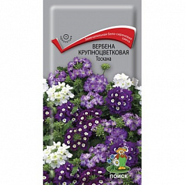 Вербена крупноцветковая Тоскана