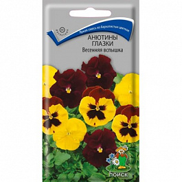 Анютины глазки Весенняя вспышка Анютины глазки Весенняя вспышка
