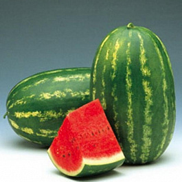 Арбуз Волжанин