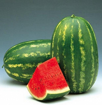 Арбуз Волжанин