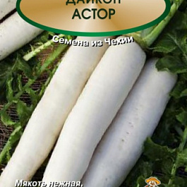 Дайкон Астор