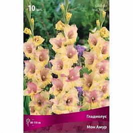 Гладиолус крупноцветковый Мон Амур