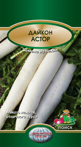 Дайкон Астор
