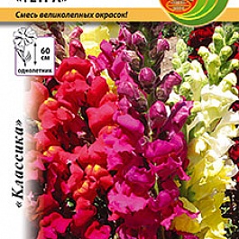 Львиный зев (Антирринум) обыкновенный Тетра