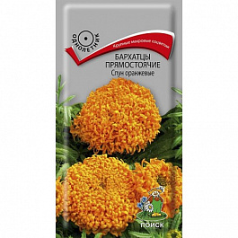 Бархатцы прямостоячие Спун оранжевые